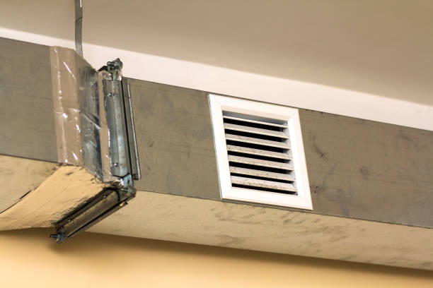Air Duct Mold Removal in WV